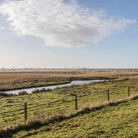 Haevn Am Meer, Rosenquarz Reußenköge