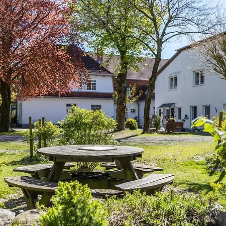 Denkerhof Rosenquarz * Reussenkoge