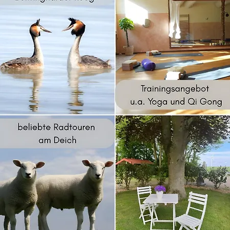 Haevn-erholung, Apartm Rosenquarz *